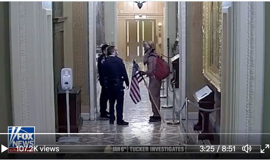 January 6 Footage Reveals Capitol Police Acted as Tour Guides for Jacob Chansley (QAnon Shaman)