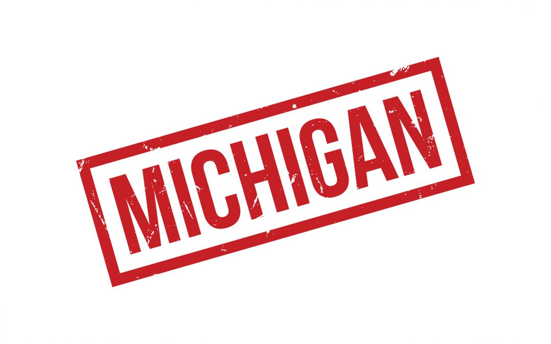 Michigan Charges 16 People – Average Age 69 – for Believing Trump Won.
